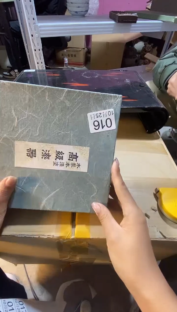 11111111111111猫*鹰111111111111