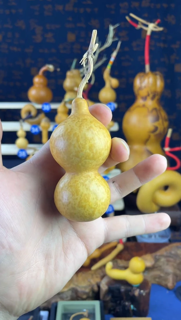 葫芦花叶 陨石坑