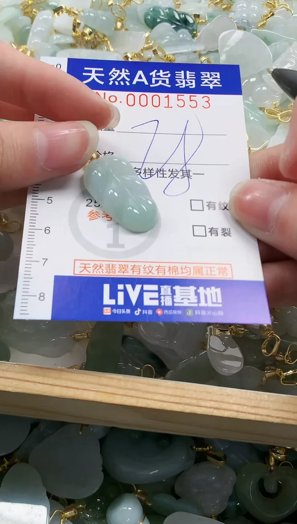 颈饰未镶嵌翡翠纯天然a货翡翠