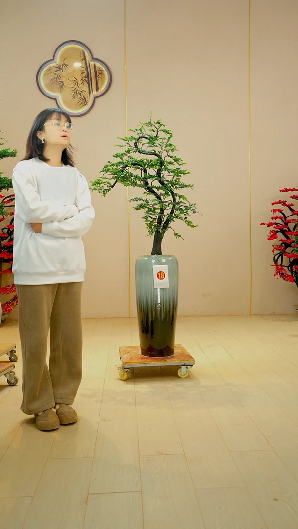 以实际为准云****！【广东小叶紫檀】落地高端盆景绿植四季常青常绿