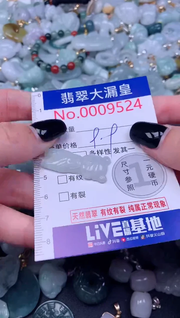 颈饰未镶嵌翡翠9524