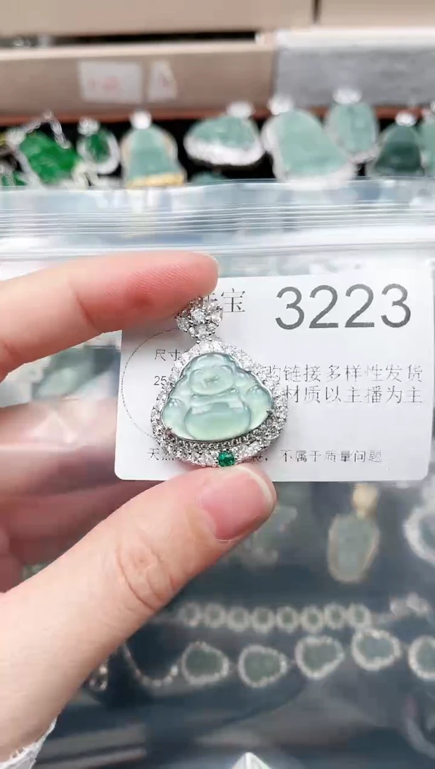 【闪购商品】翡翠颈饰未镶嵌赠皮绳3223