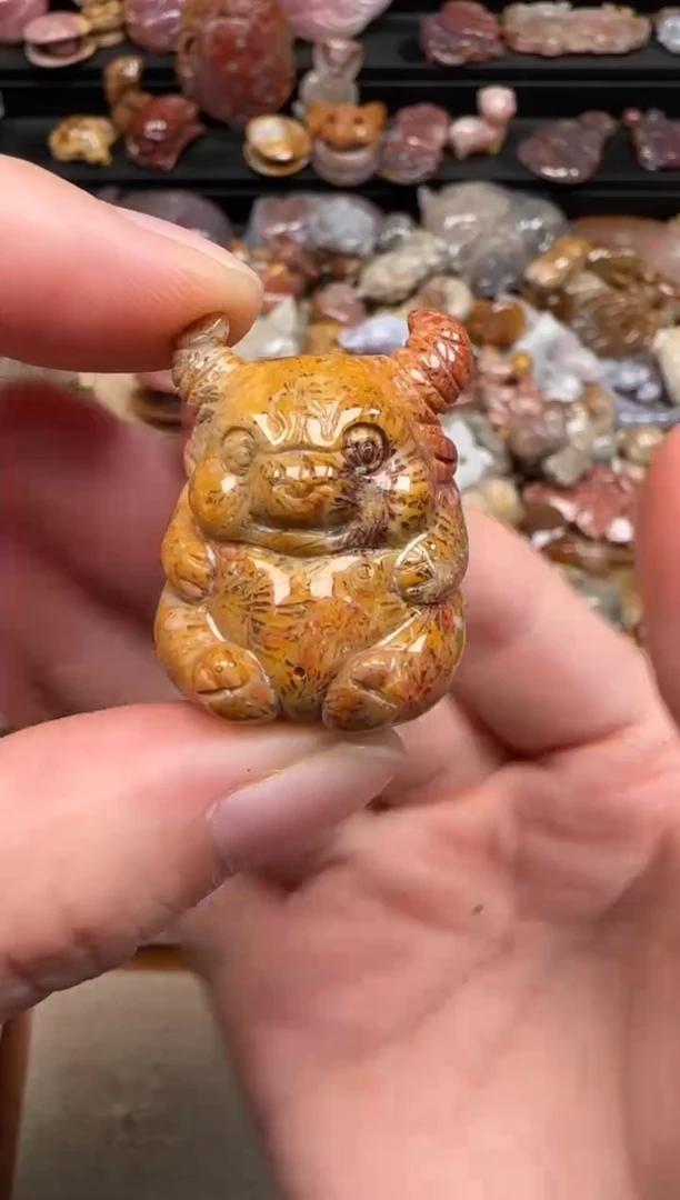 硅化珊瑚（珊瑚玉）未镶嵌颈饰674