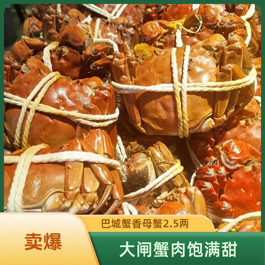 巴城-清水大闸蟹-母蟹每只2.5两-江浙沪顺丰包邮