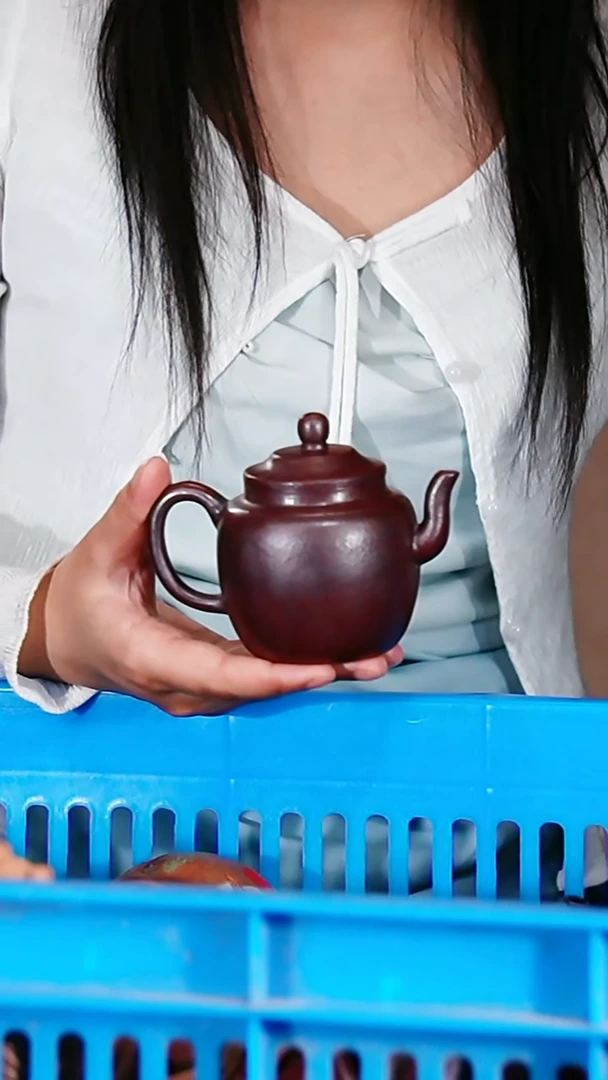宜兴原矿紫砂壶茶壶200C