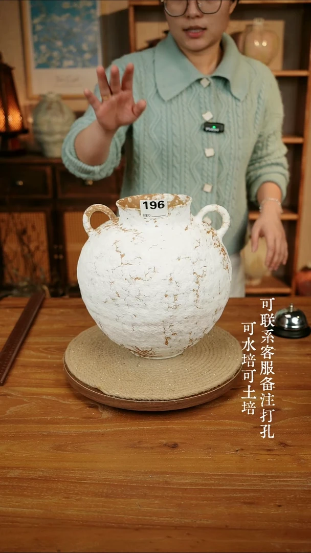 摆件196白色双耳大肚瓶可水培可土培