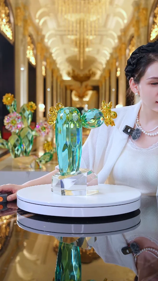 摆件JY0061小号仙人掌