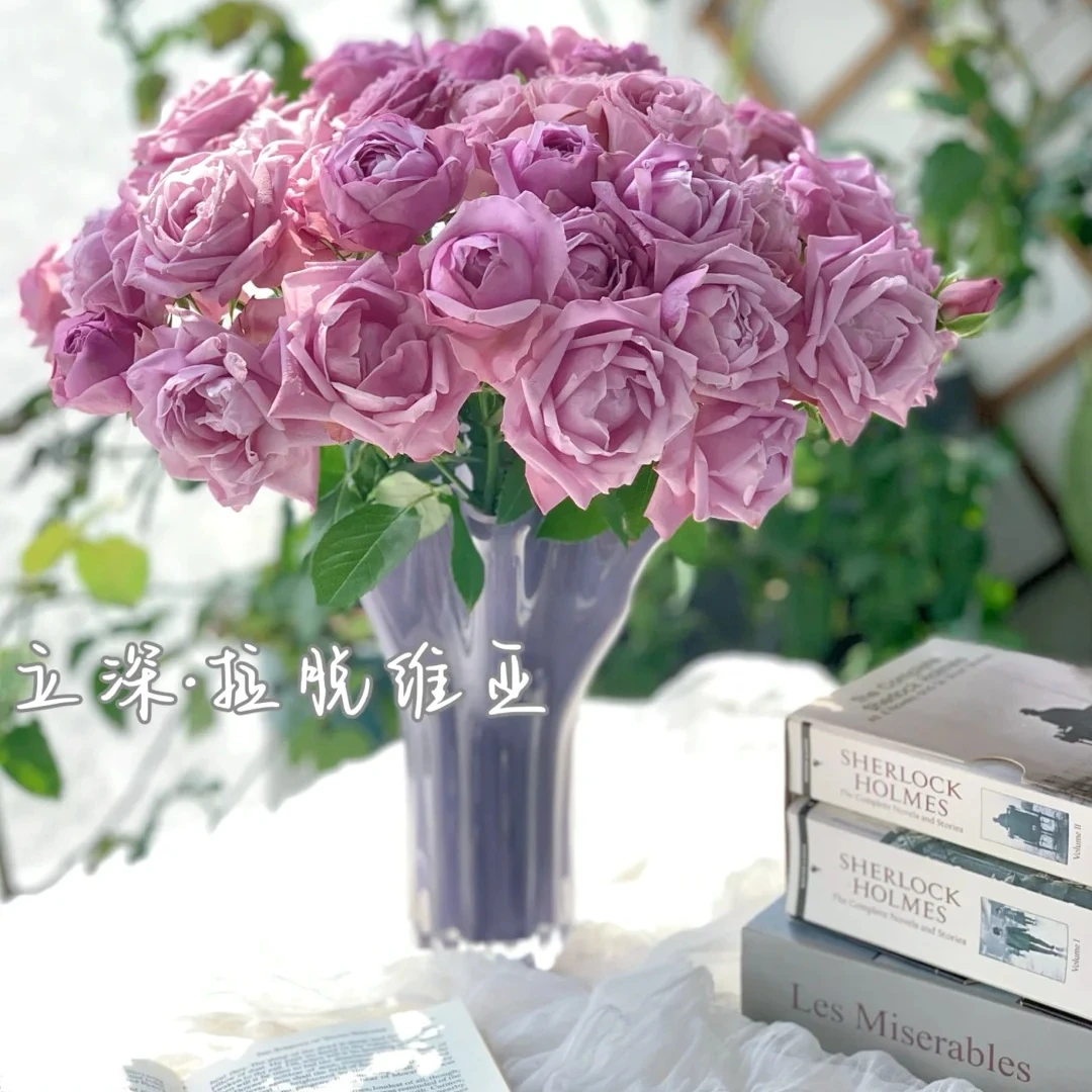 拉脱维亚，多头玫瑰，1单冷链包邮，2单升级顺丰，远的发德邦