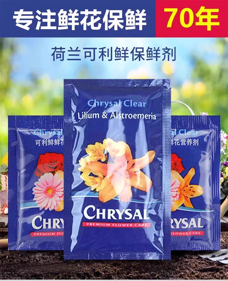 (随手购  可立鲜营养剂）鲜切花办公室室内瓶插花桌面装饰简单浪漫