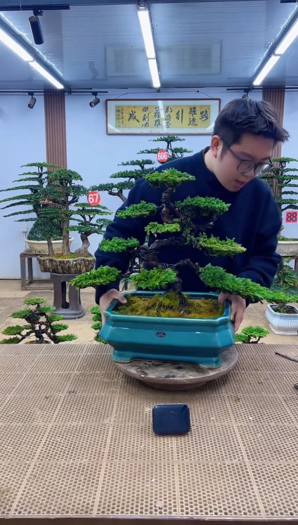 无花朵000000000000