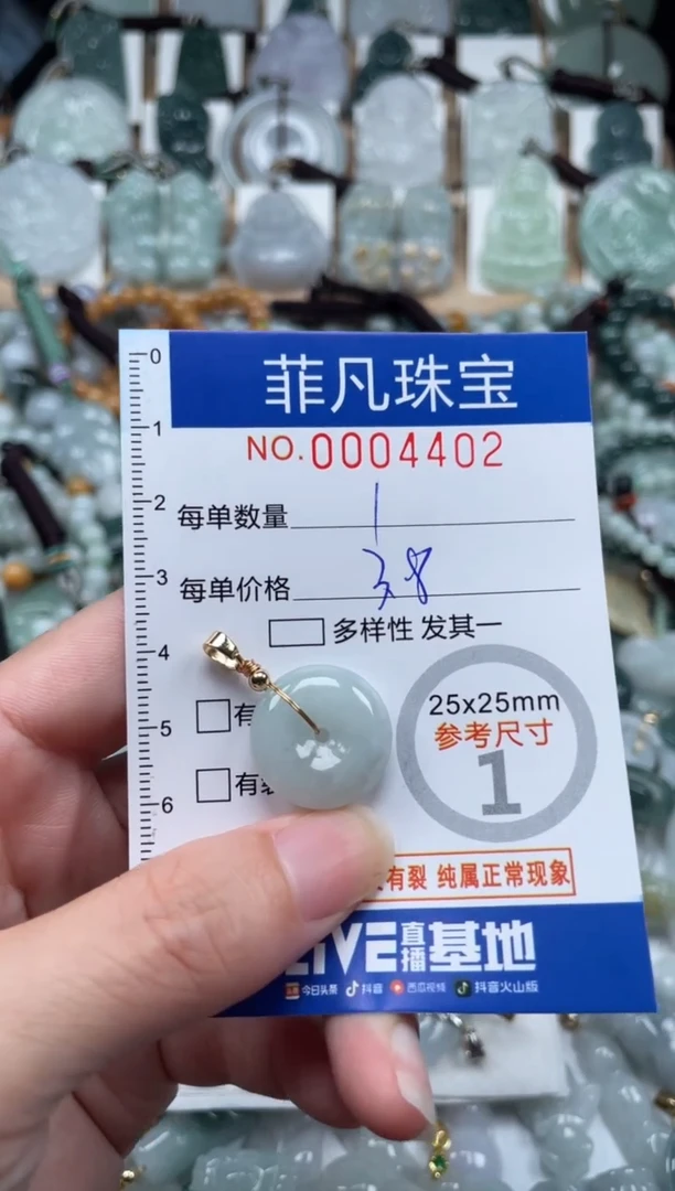 翡翠未镶嵌颈饰00..4402