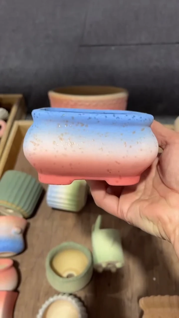 【闪购商品】陶内口  9  内高5