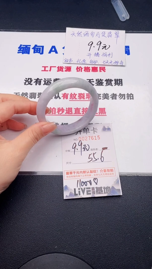 未镶嵌手镯翡翠15