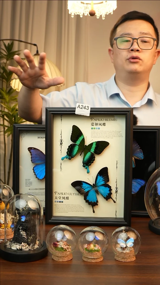 爱神凤蝶天堂凤蝶组合款(A4欧式黑框)A243