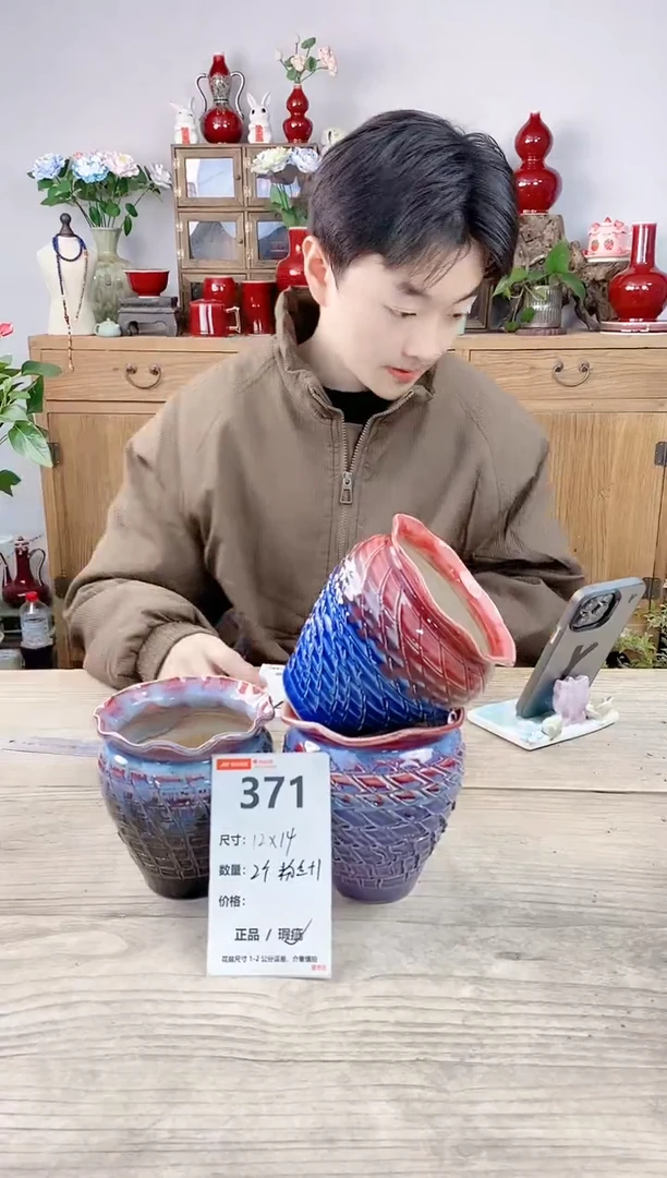 晴好园艺直播编号371