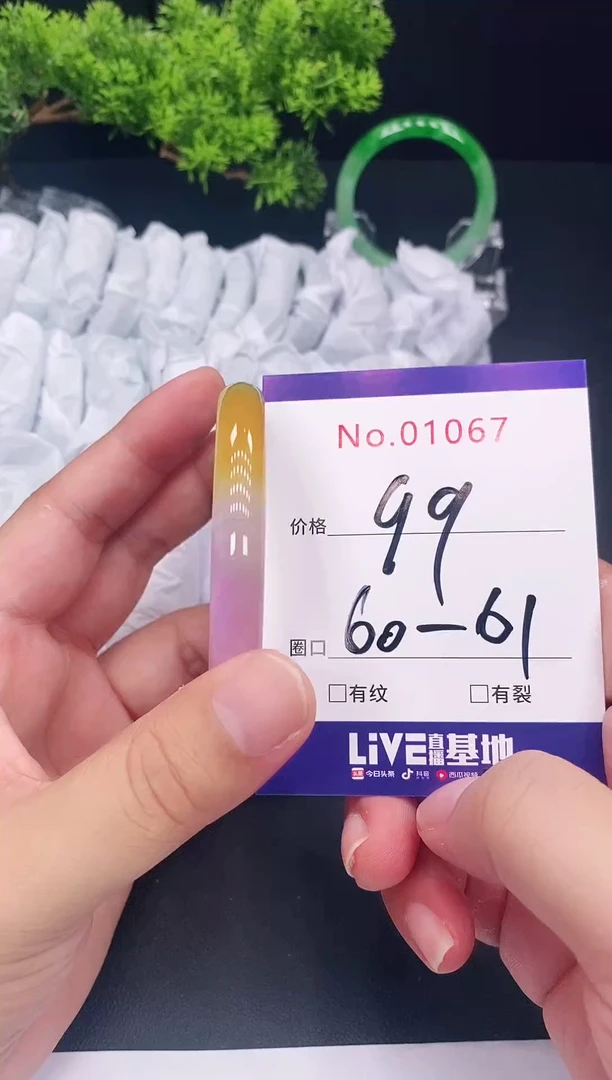 未镶嵌手镯翡翠1067