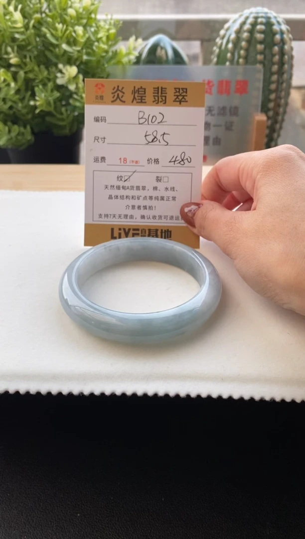 未镶嵌手镯翡翠58.5圈口编码B102