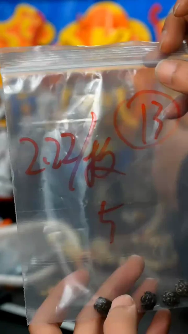 【闪购商品】13藏传原生态藏传藏品（多样性）