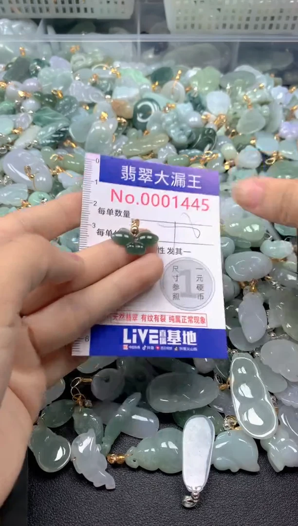 颈饰未镶嵌翡翠1445