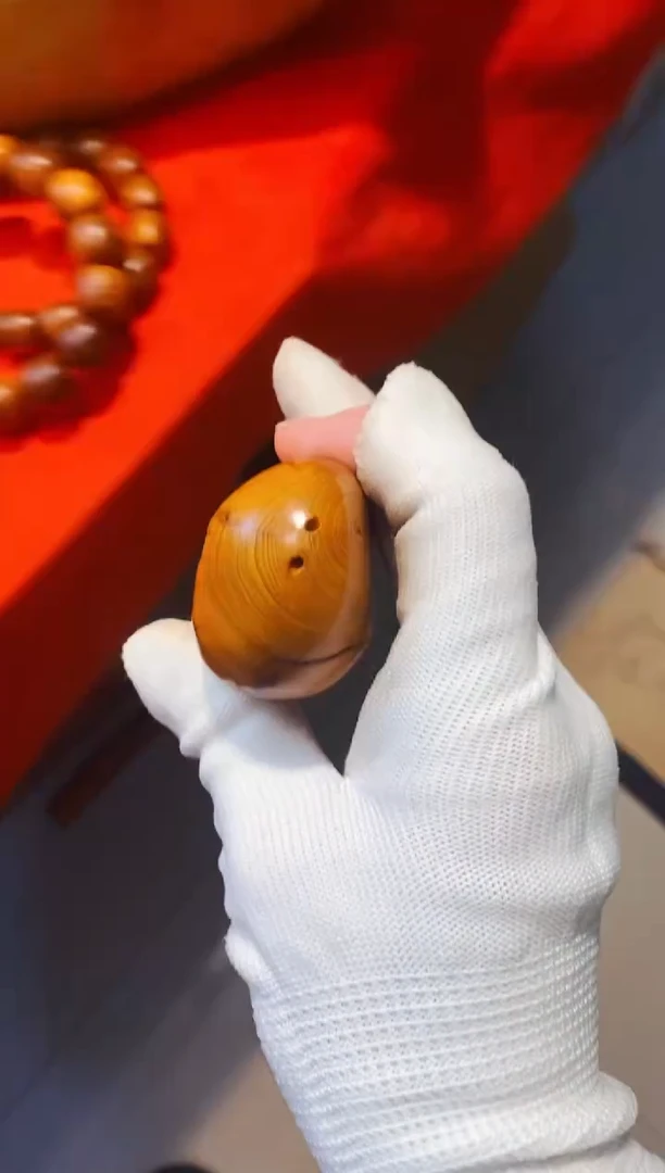 柏木28崖柏崖柏崖柏