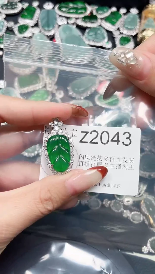 【闪购商品】翡翠颈饰未镶嵌赠皮绳2043