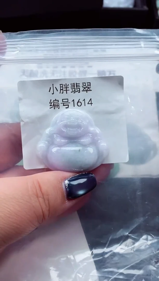颈饰未镶嵌翡翠缅甸天然A货翡翠1614