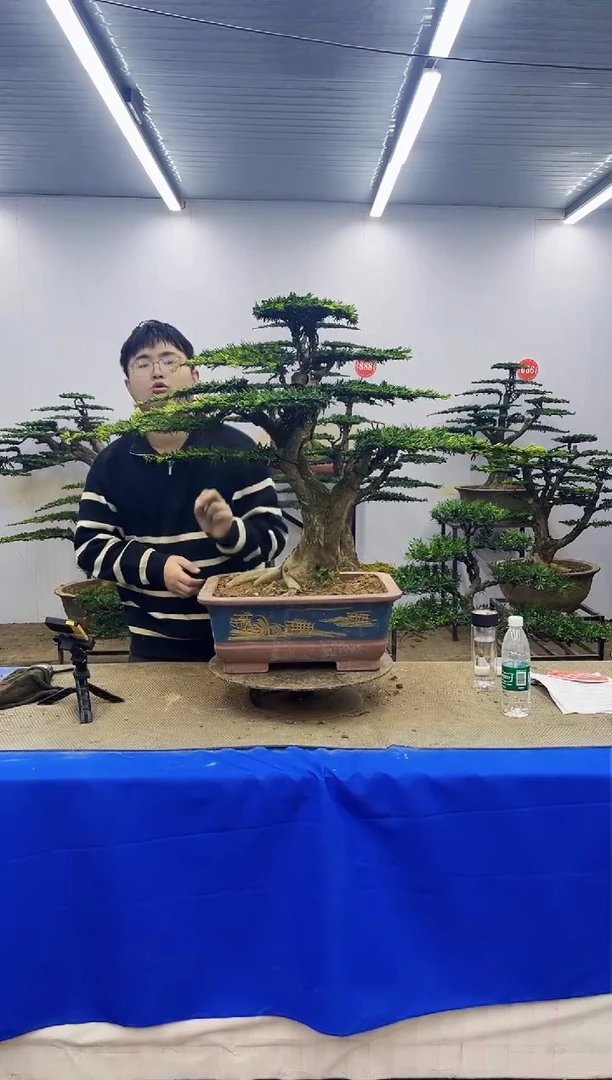 完全开放一物一拍，所见即所得