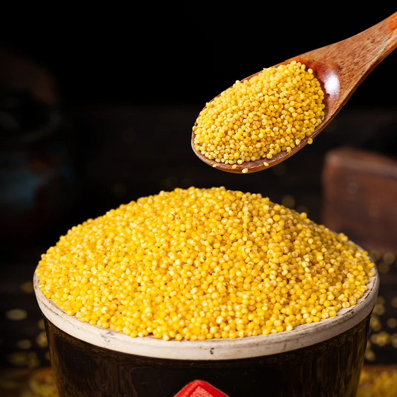 2025年陕西陕北米脂小米黄小米5斤产地直销厂家特产年货新年礼品