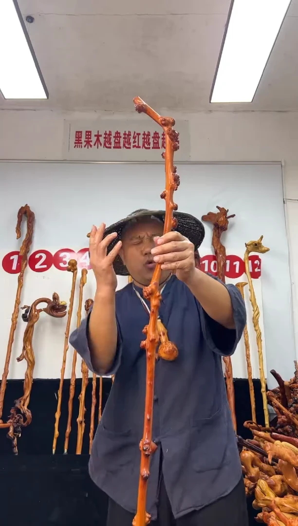 黑果木其他黑果木464