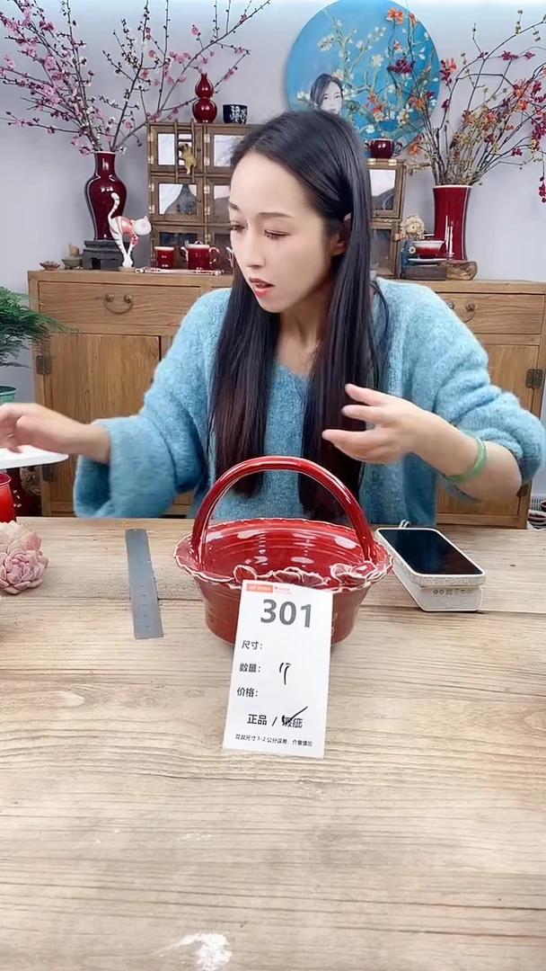 【闪购商品】陶瓷301
