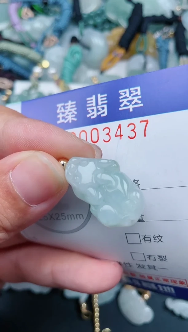 翡翠未镶嵌颈饰.0003437