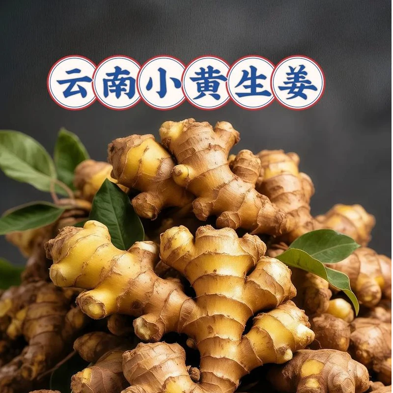 【村知舒】精选一级特级小黄姜正宗云南小黄姜新鲜现挖生姜调料