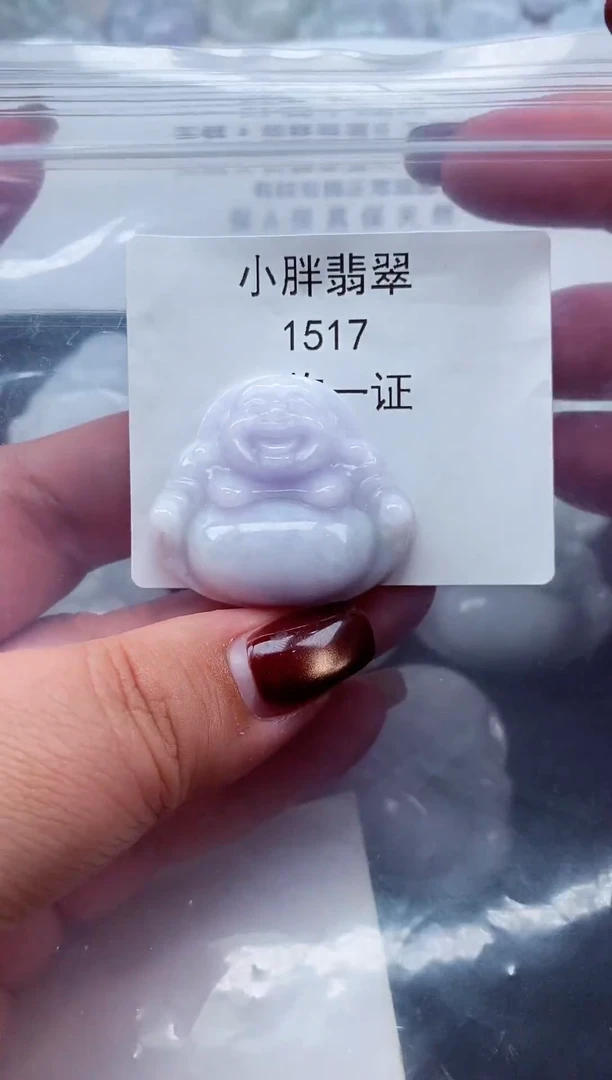 颈饰未镶嵌翡翠缅甸天然A货翡翠1517
