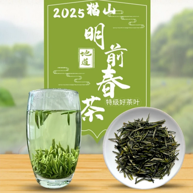 正宗明前茶小包装送礼浓香绿茶新茶2025新茶特级高端手工茗茶