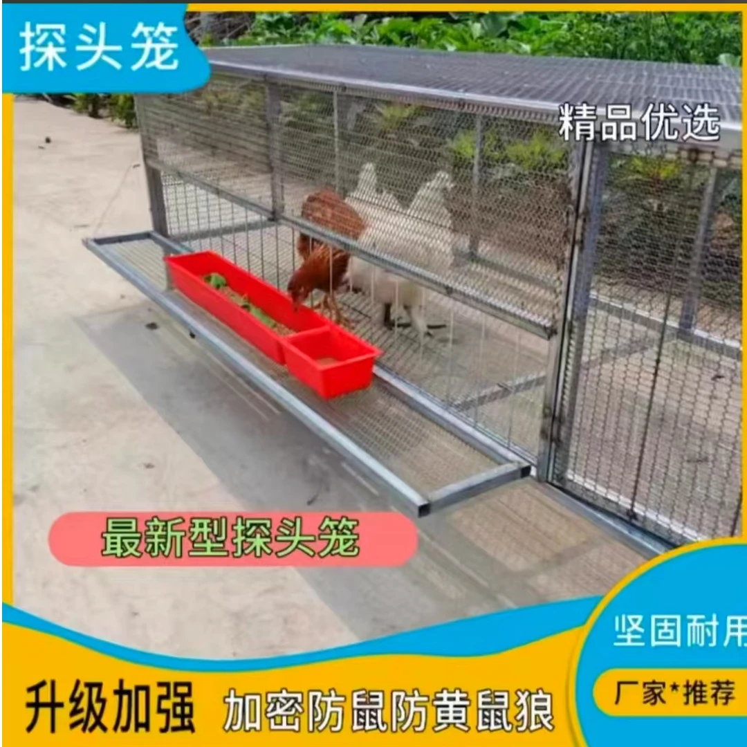 探头吃食户外养殖笼防黄鼠狼养鸡鸭鸽子兔子