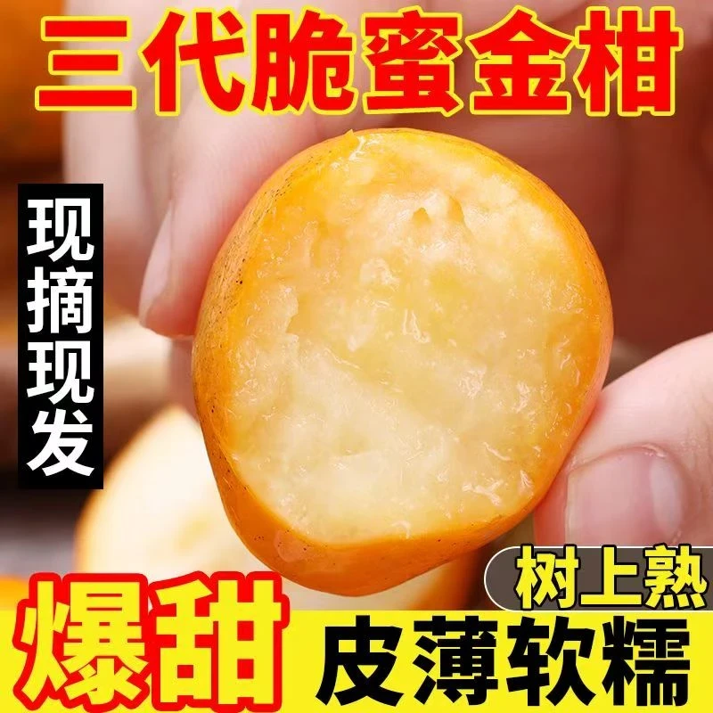 【第三代】融安脆蜜金柑脆蜜脆蜜金桔纯甜高端现摘现发新鲜水果