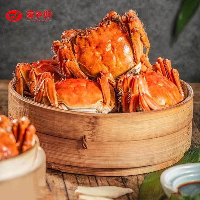 江苏大闸蟹3两母蟹4只