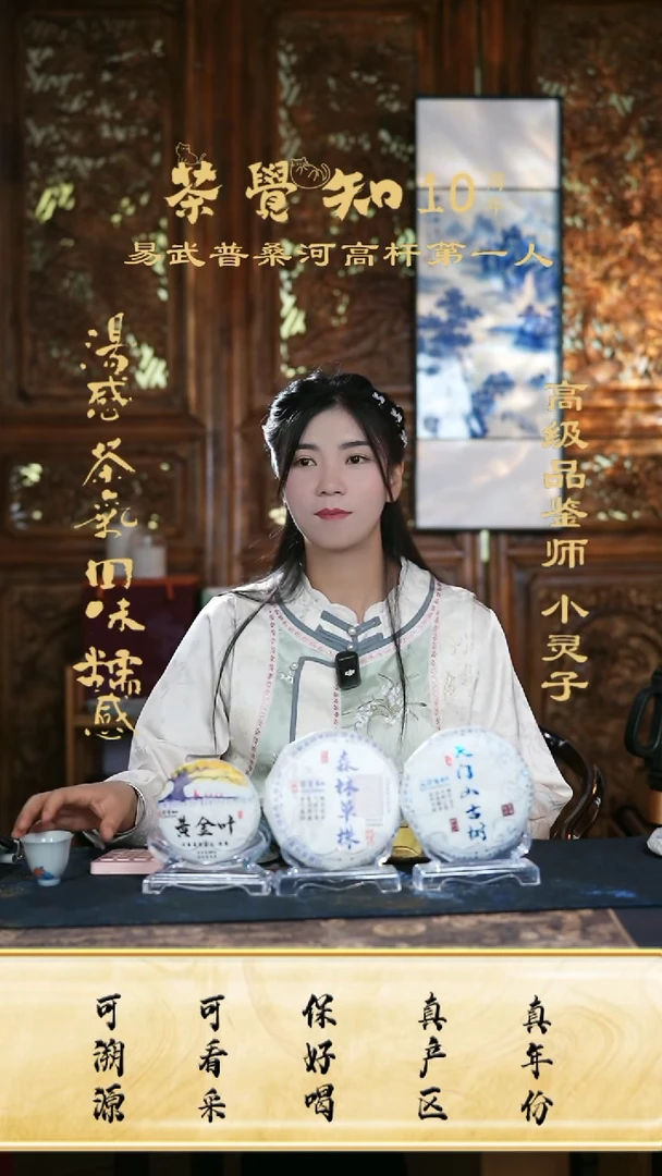 忙肺单株头春古树＋天门山头春古树＋千年高杆黄金叶