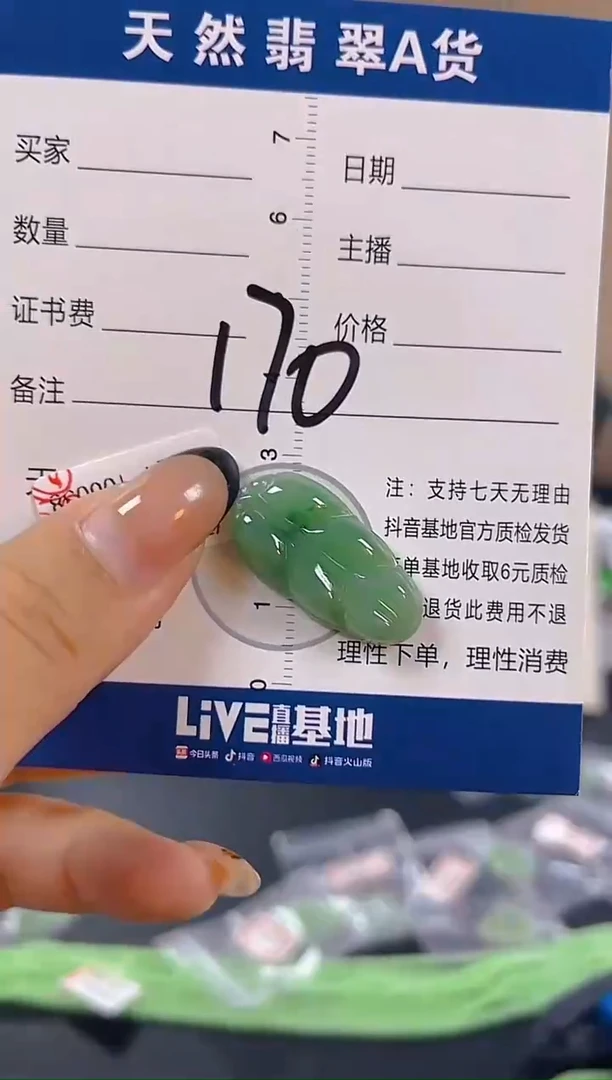 颈饰未镶嵌翡翠微瑕 有纹