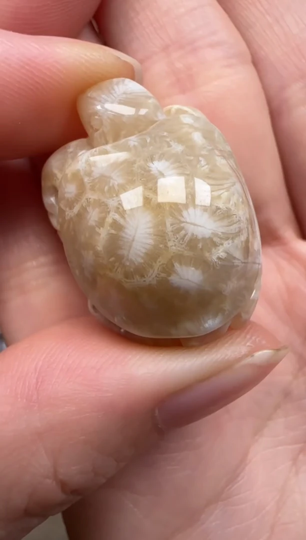 硅化珊瑚（珊瑚玉）未镶嵌颈饰714