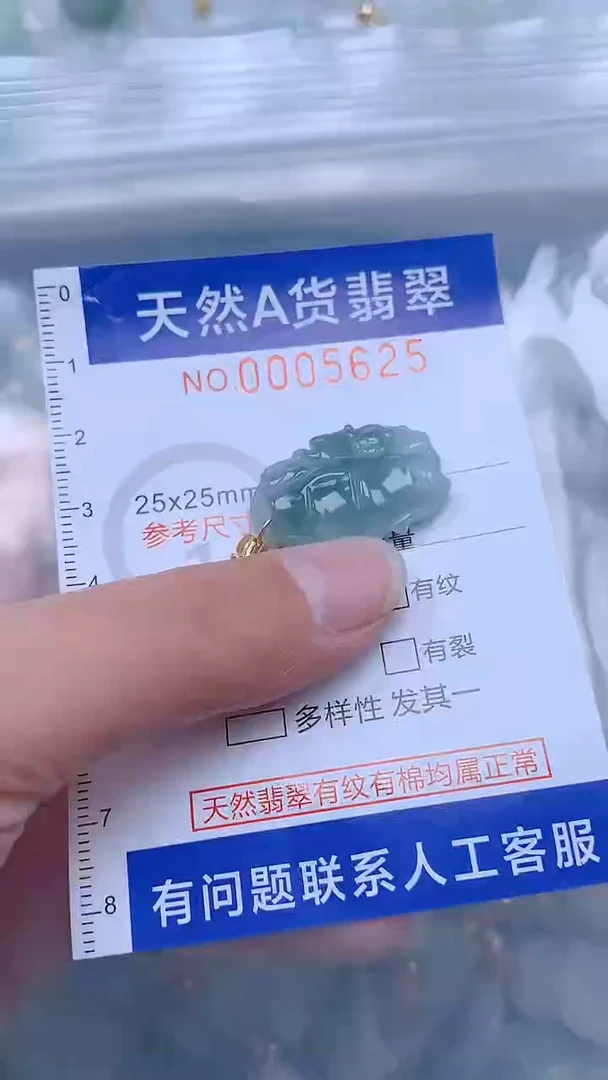翡翠未镶嵌吊坠(不含链)1