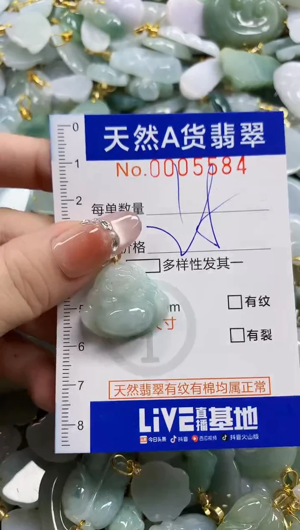 颈饰未镶嵌翡翠天然A货翡翠