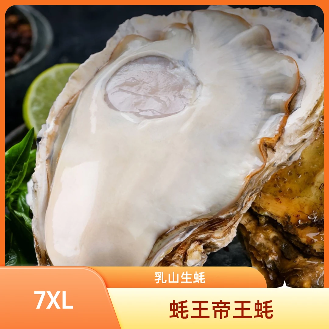7XL帝王蚝【到手10斤正宗精品乳山生蚝】买5斤送5斤共10斤鲜活肥美