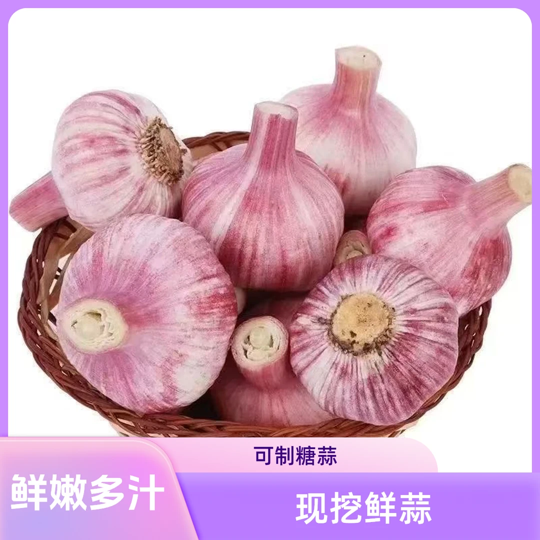 （助农特惠）2025新蒜现发可做腊八蒜糖醋蒜助农特惠价