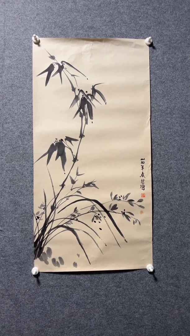 徐老师文竹手绘画片