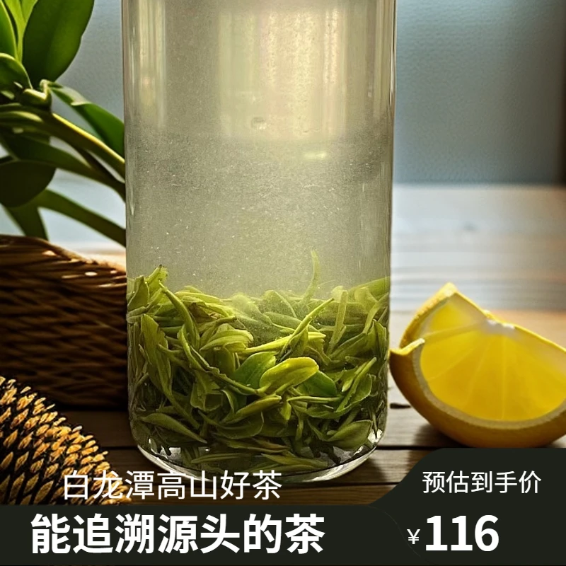 春季茶叶正宗2025年信阳毛尖高山生态茶明前芽叶罐装