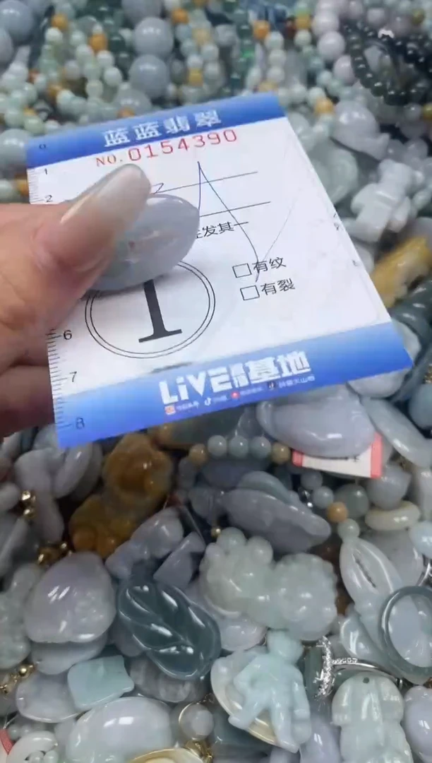 【闪购商品】翡翠颈饰未镶嵌闪购0154390