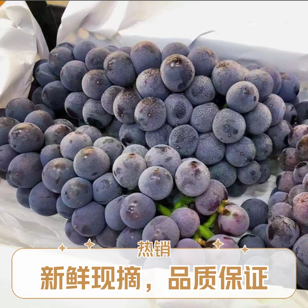 无籽巨峰葡萄1斤新鲜