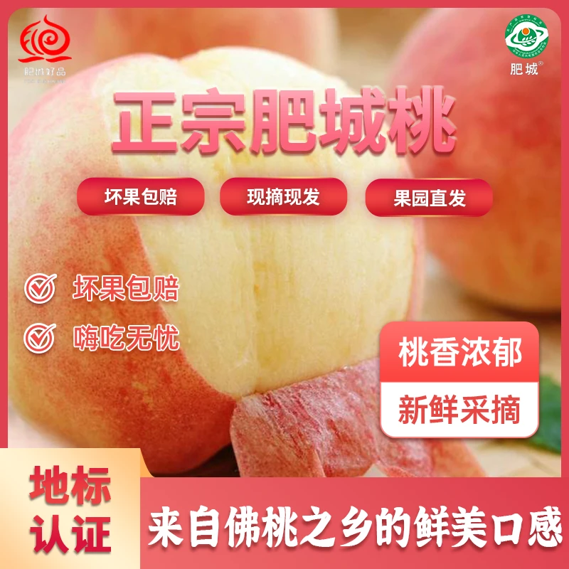【肥城好品专属】正宗山东肥城桃 软硬双吃 现摘先发 地标认证山东省