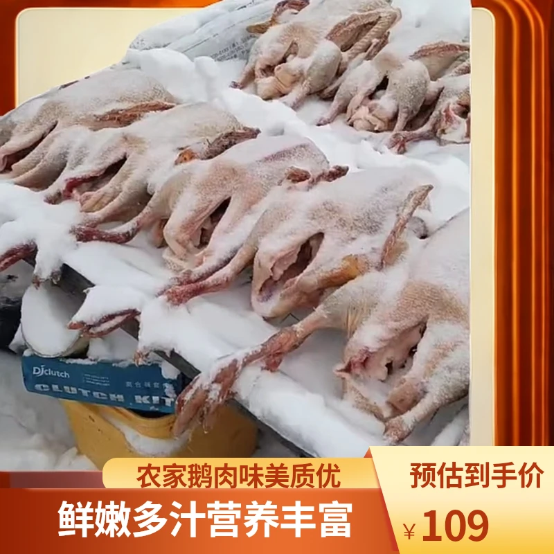 农家大鹅品味生活